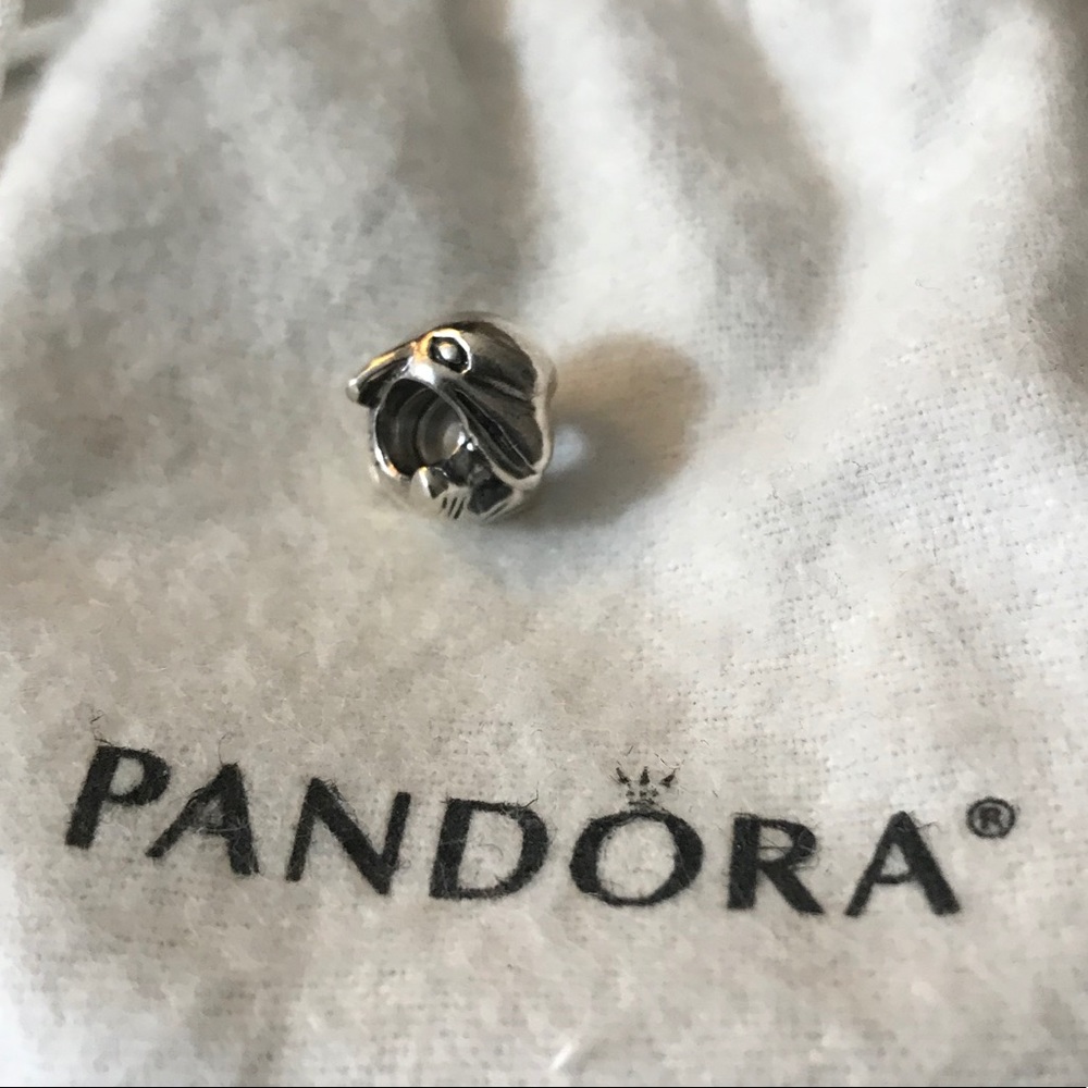 Pandora dolphin - retired